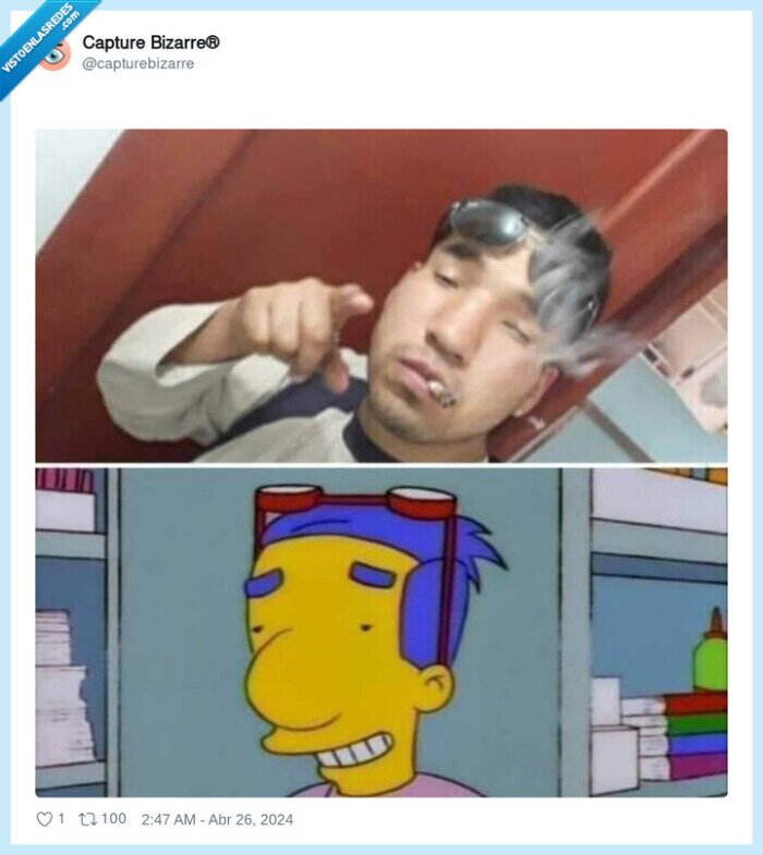 milhouse,parecido razonable