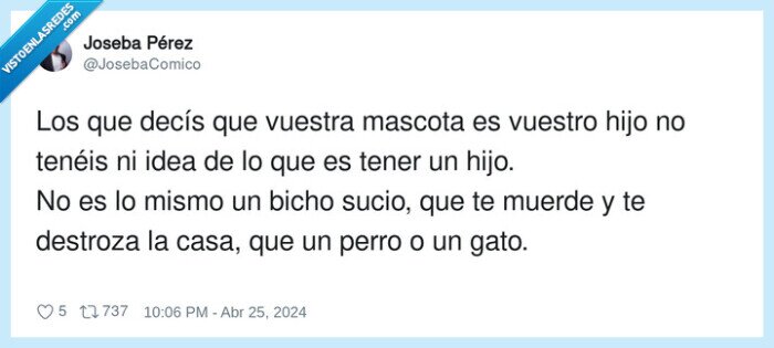 destrozar,mascota,hijos,gatos,perros