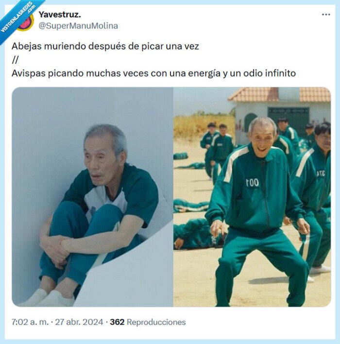 abeja,avispa