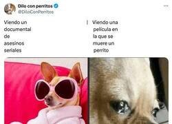 Enlace a Los perritos no, por favor, por @DiloConPerritos