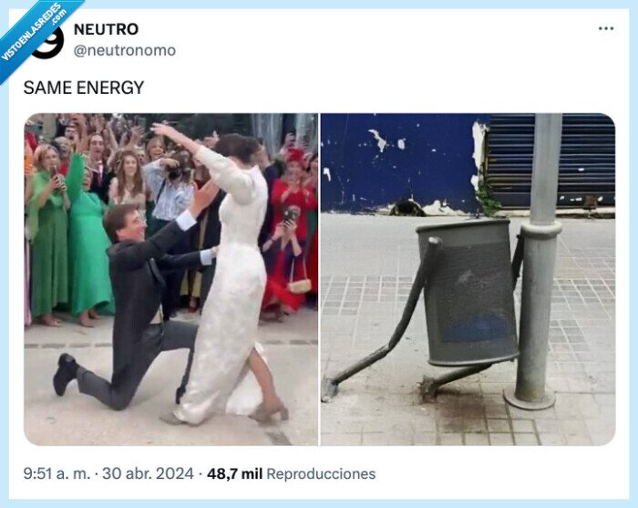 almeida,papelera,parecido razonable,mujer,novia