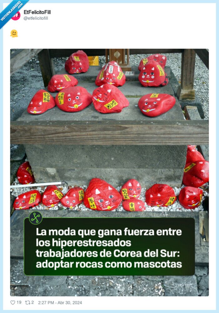 piedra,estres,corea del sur,adoptar,rocas,mascotas