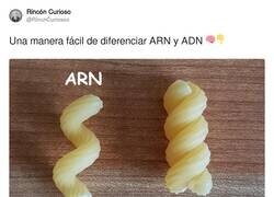 Enlace a Ahora me apatece pasta de ARN, por @RincnCuriosoo