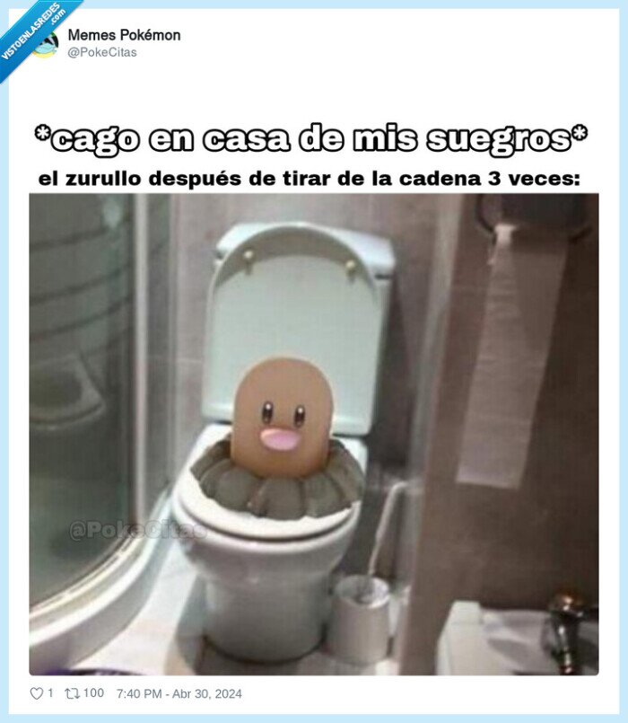 wc,caca,piglet,suegros