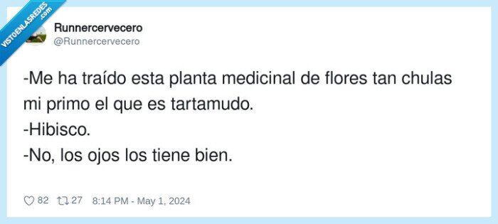medicinal,tartamudo,bizco,hibisco,planta,flores