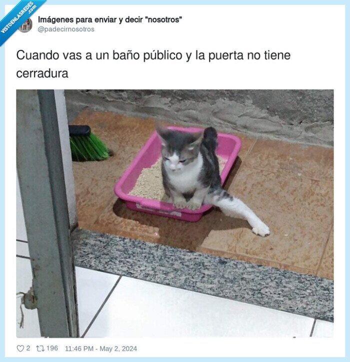 cerradura,baño publico,pata,puerta,gato