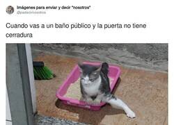 Enlace a Por si acaso, por @padecirnosotros