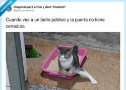 Enlace a Por si acaso, por @padecirnosotros