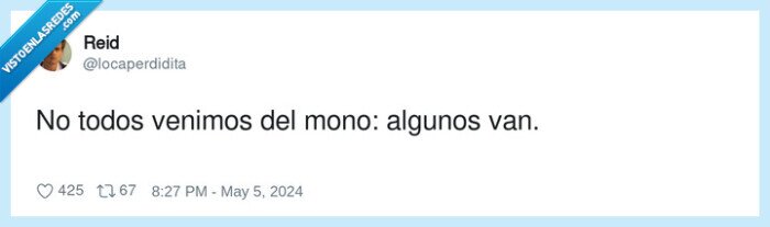 venimos,algunos,ir,mono