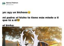 Enlace a Cuidado con ciertos bichos, por @PokeCitas