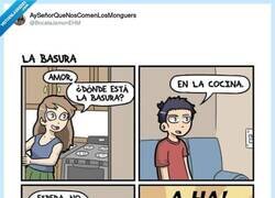 Enlace a Mapache pillado, por @BocataJamonEHM