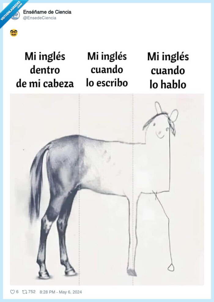 caballo,partes,inglés,cabeza,escribir,hablar
