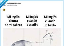 Enlace a Mis problemas con el inglés, por @EnsedeCiencia