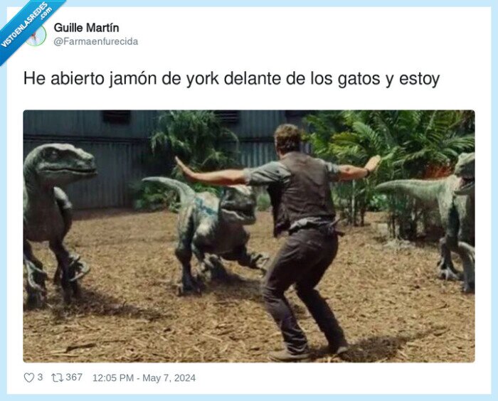 abrir,delante,gatos,jamón de york
