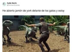 Enlace a Van a por ti, por @Farmaenfurecida