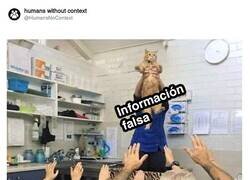 Enlace a Se lo tragan todo, por @HumansNoContext