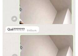 Enlace a Me parto con lo asustada que está porque el hamster que cuida empieza a escalar por la pared