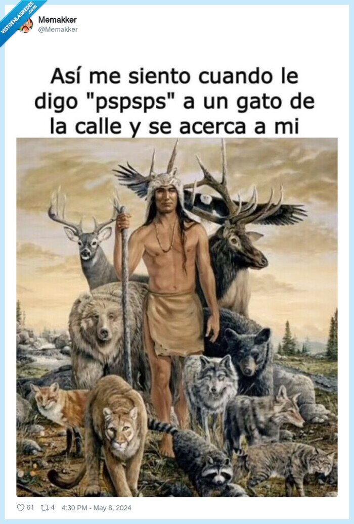 gato,pspspspsps,venir