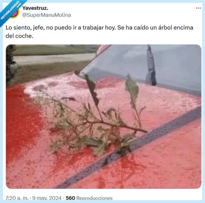 árbol,jefe,trabajo,encima