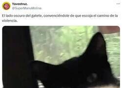 Enlace a Tira algo al suelo, por @supermanumolina