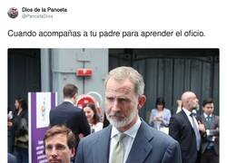 Enlace a Es todo orejas, por @PancetaDios