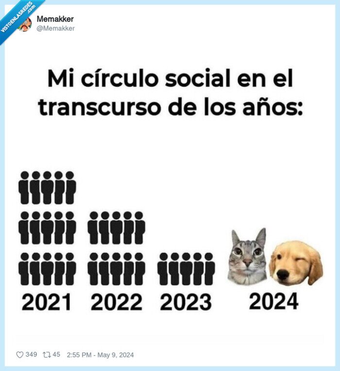 perro,gatos,amistad,amigos