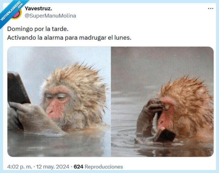 madrugar,activar,domingo,tarde,alarma