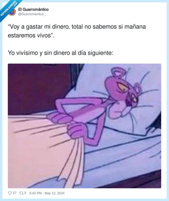 dinero,gastar,por si acaso,pantera rosa
