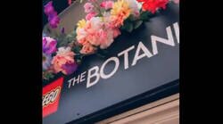 Enlace a Necesito a alguien que me lleve a la tienda de flores de LEGO de Utrecht