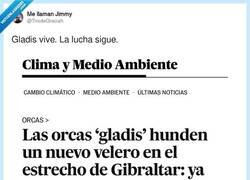 Enlace a Vuelve Gladis, vamosssss, por @TirodeGraciah