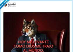 Enlace a Qué pereza, de verdad, por @Memakker