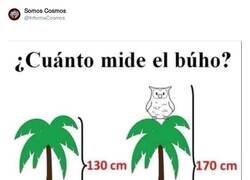 Enlace a Ésta es fácil, venga, por @InformaCosmos