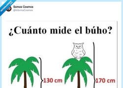 Enlace a Ésta es fácil, venga, por @InformaCosmos