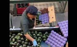 Enlace a Hay trabajos que serán fácilmente sustituibles por robots