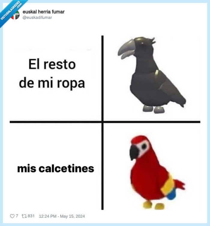 loro,negro,colores,calcetines