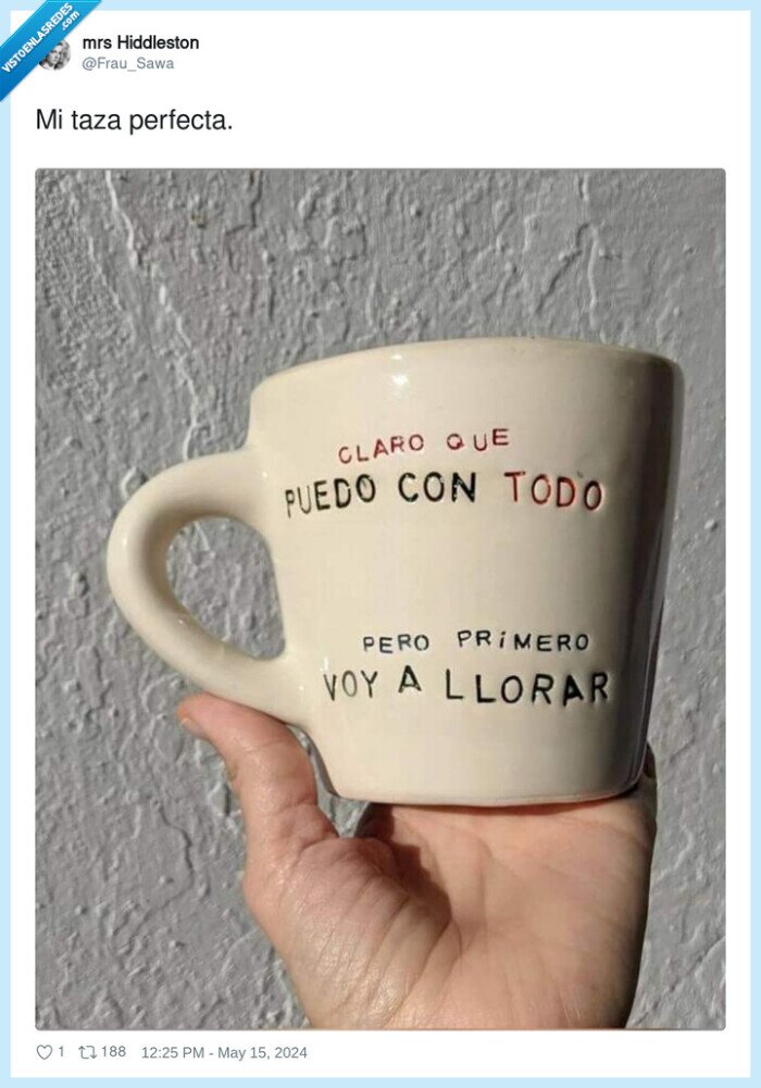 perfecta,taza,poder con todo,llorar