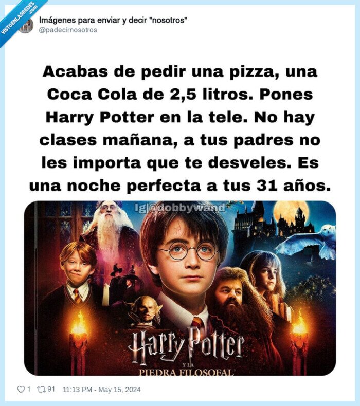 nini,adulto,harry potter,maraton