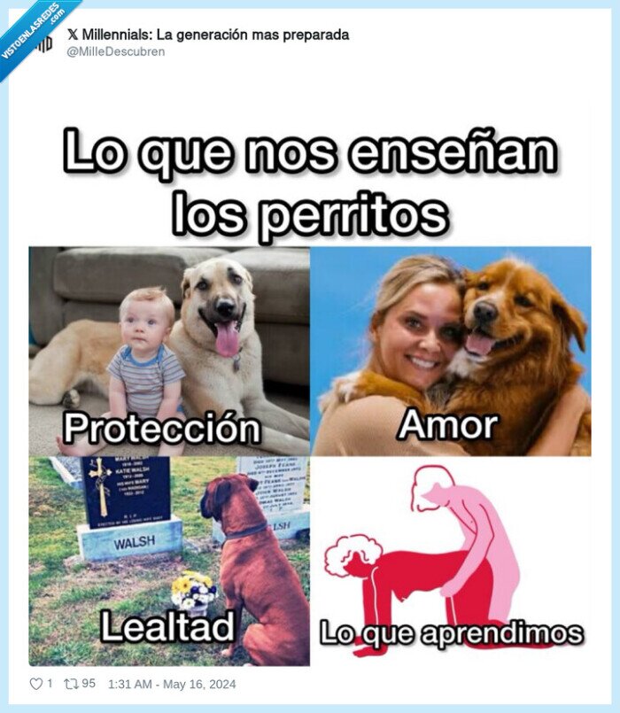 perros,postura,protección,lealtad,amor