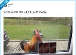 Enlace a Pa' la barbacoa, por @frigosouul