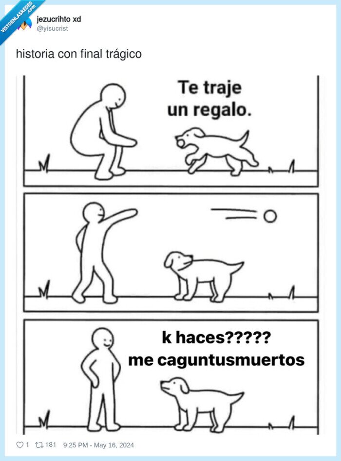 perro,pelota,traer