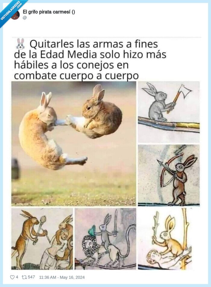 conejos,pinturas,medievales,armas