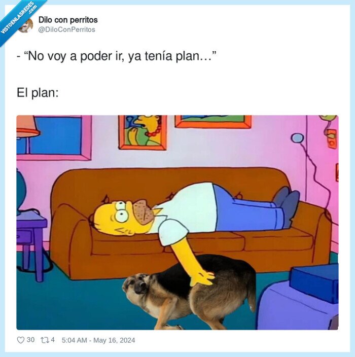 perro,homer,dormir,planes,descansar