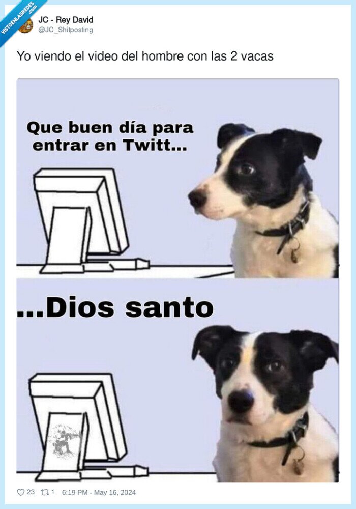 viendo,hombre,video,vacas,gasolinera,wtf,manguera