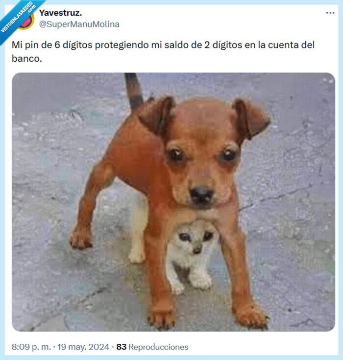 pin,proteger,saldo,banco