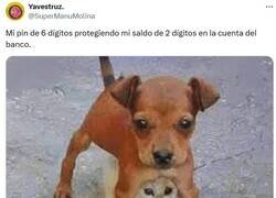 Enlace a Muy chiquititos por @supermanumolina