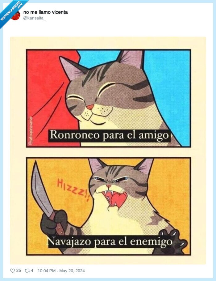 gato,navajazo,ronroneo,amigos