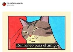 Enlace a Las dos caras del gato, por @kansaita_