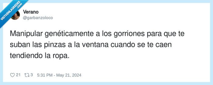 genéticamente,manipular,gorriones,ventana,pinzas