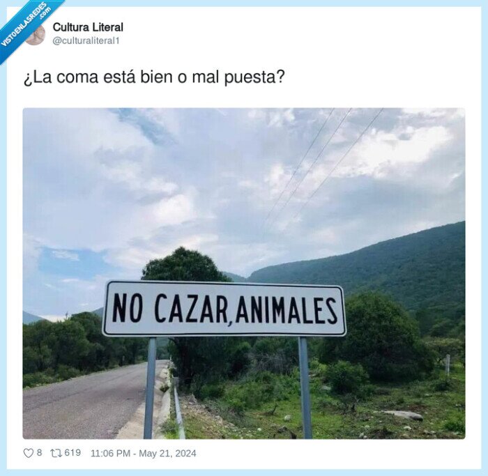 coma,poner,cazar,animales