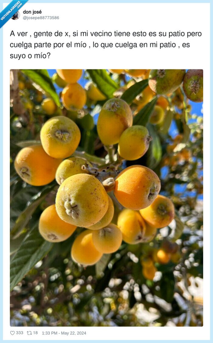 vecino,colgar,gente,patio